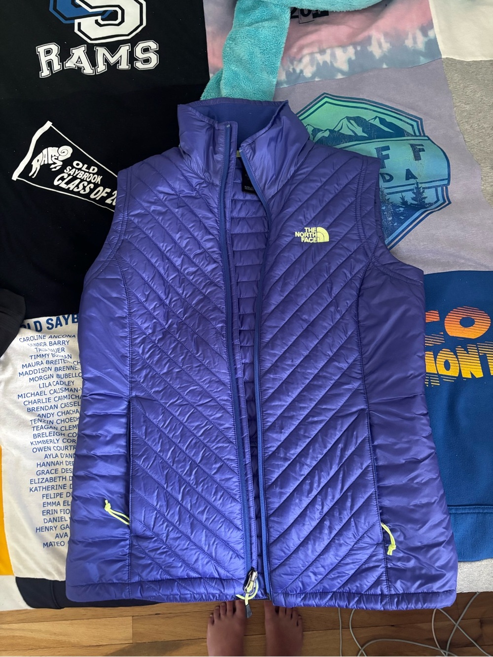 The North Face Violet Quilted Insulated Vest
